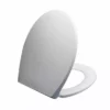 Dunelm Thermoplast White Toilet Seat