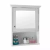 GFW Mirrored Wall Cabinet