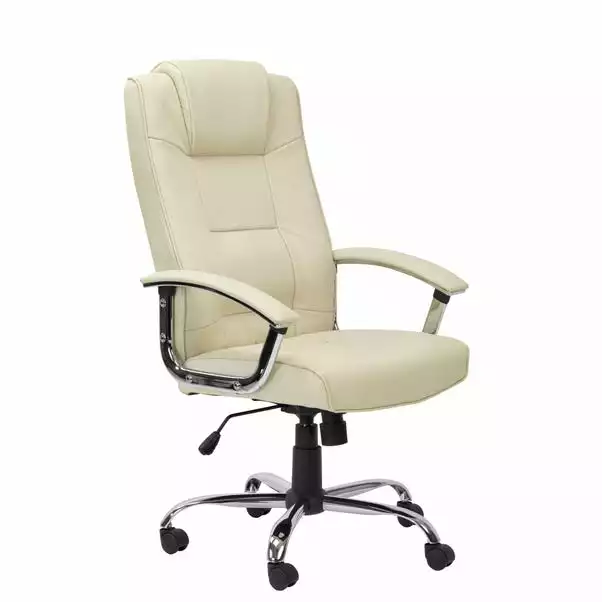 Alphasson Houston Office Chair